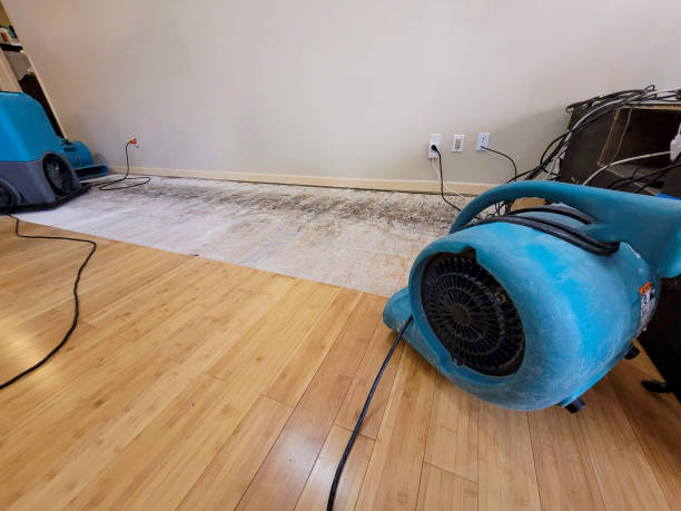 Professional Sewage Cleanup technician working in Wayne, NE